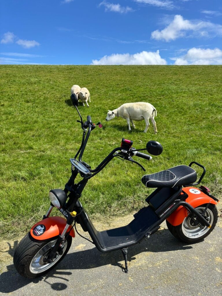 Verken Eemsdelta met de E-chopper — Natuur in de Wadden