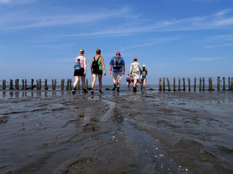 Wadlopen vanuit Pieterburen — sport in de Wadden