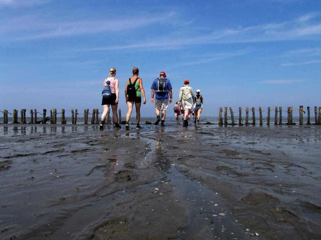 Wadlopen vanuit Pieterburen in de Wadden