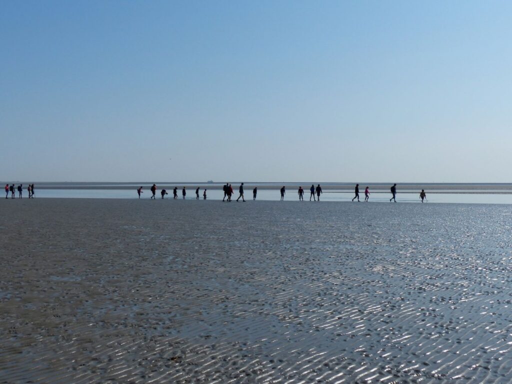 Wadlooptocht: Educatieve Zwerftocht naar Eilanderbult in de Wadden