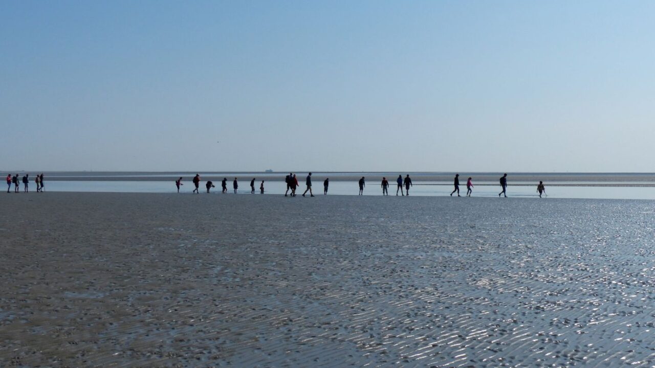 Uittip van de week: Wadlooptocht: Educatieve Zwerftocht naar Eilanderbult