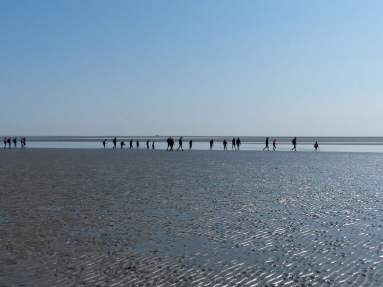Wadlooptocht: Educatieve Zwerftocht naar Eilanderbult — sport in de Wadden