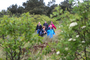 Stilte wandelingen — Natuur in de Wadden