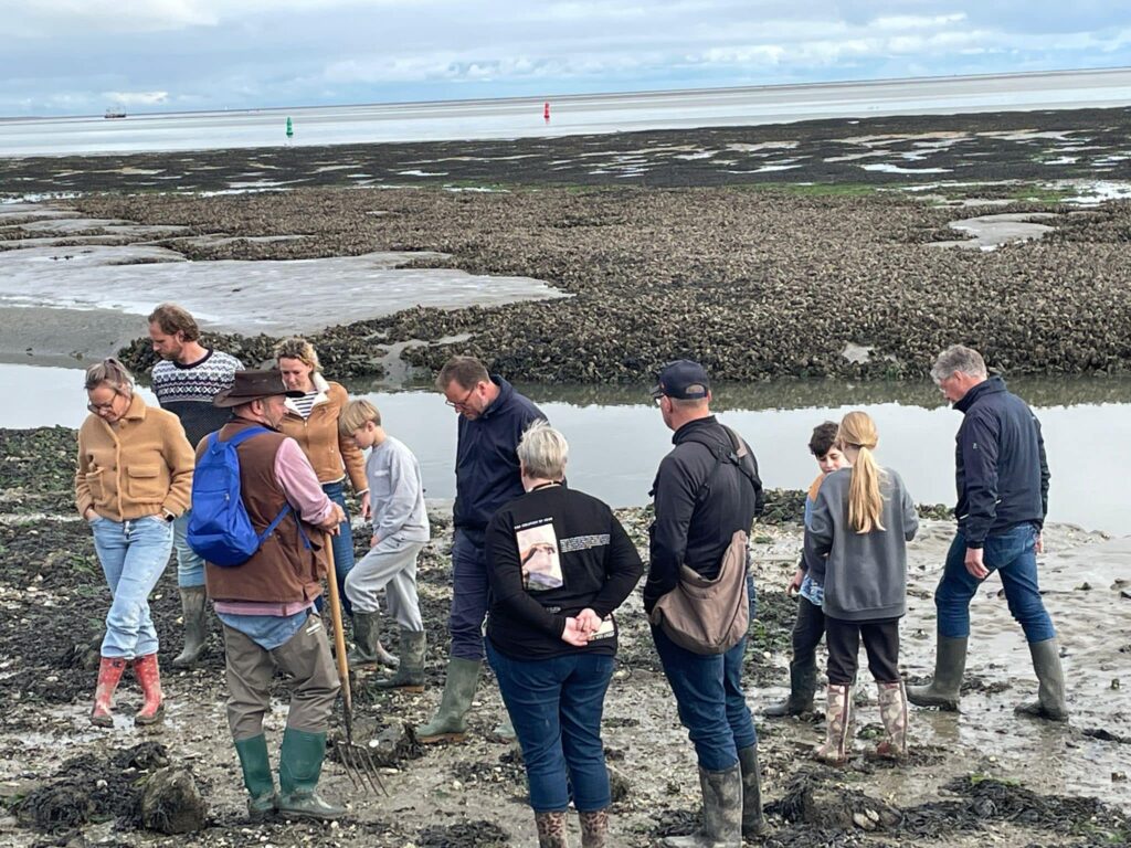 Wadexcursie de Lepelaar in de Wadden