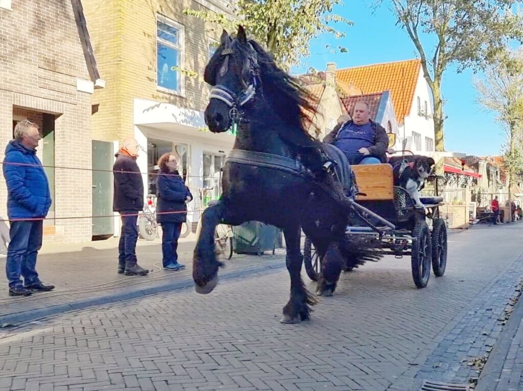 Ringsteken in Midsland in de Wadden