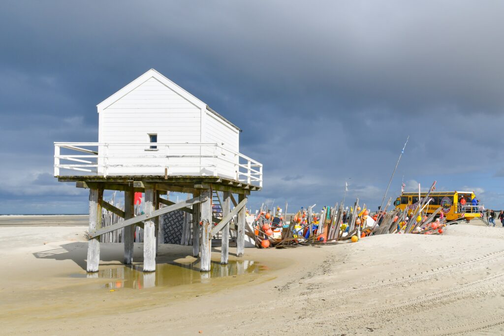 Rondrit met de Vliehors Expres in de Wadden